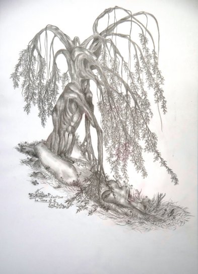 La Terre et le vieil arbre